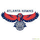 Hawks logo