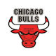 Bulls logo