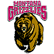 Grizzlies emblem