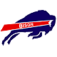 Bison emblem