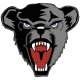 Black Bears emblem