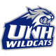 Wildcats emblem