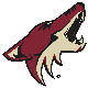 Phoenix Coyotes